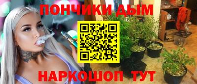гидропоника Новозыбков