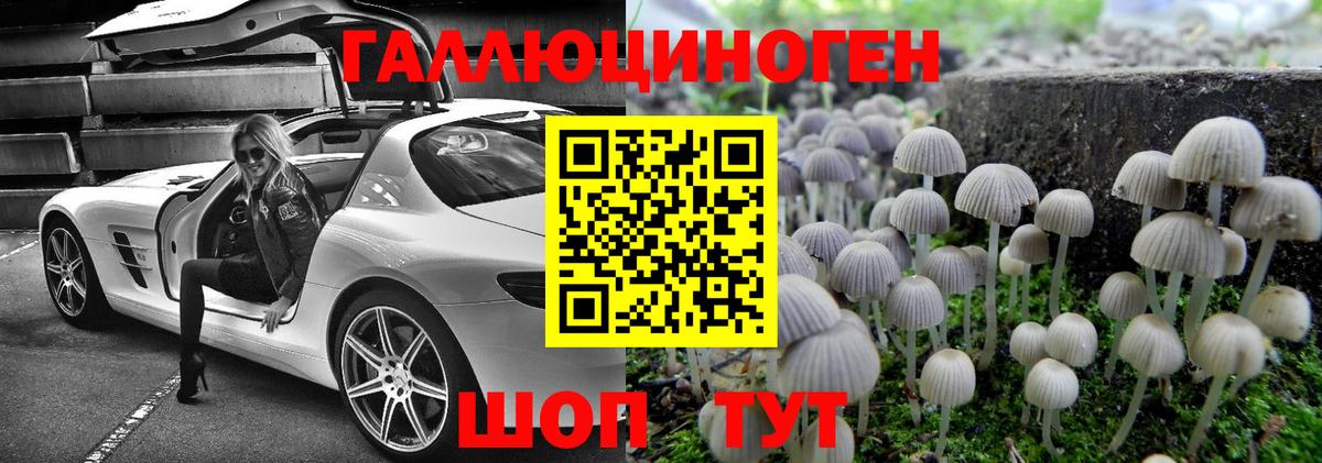 где продают   Галлюциногенные грибы Psilocybe  Вход с VPN  Тольятти 